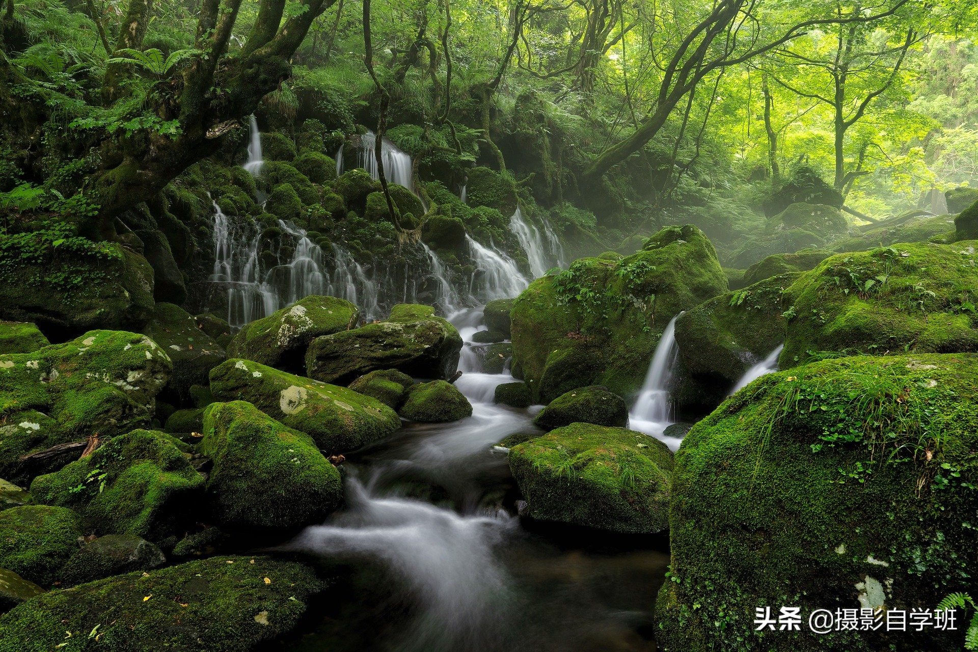 风景照片咋拍美？这9个简单实用摄影技巧，帮你拍出风光大片 第37张