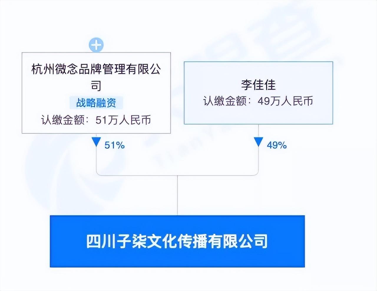 李子柒事件是怎么回事（火到国外的李子柒怎么消失了） 第23张