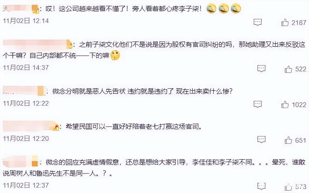 李子柒事件是怎么回事（火到国外的李子柒怎么消失了） 第47张