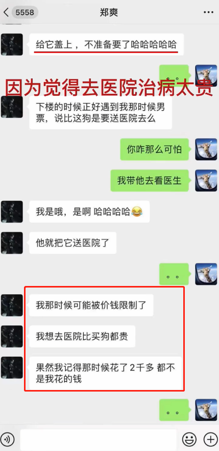 郑爽事件怎么回事？到底是什么造就了今天的郑爽？ 第15张