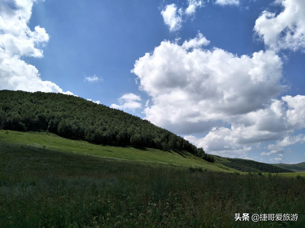 河北省 承德市 丰宁满族自治县 丰宁坝上草原 第7张