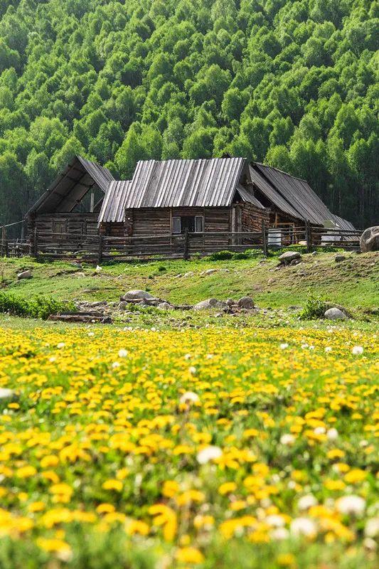 情侣旅游地点推荐（超适合情侣旅行的12个打卡地） 第11张
