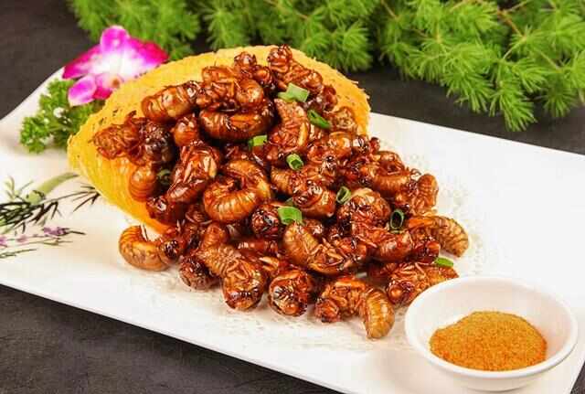 中国10大奇葩美食：三吱儿、田鼠干双双入榜 第15张