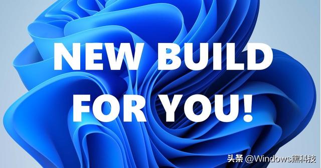 win11应用商店更新怎么设置（win10应用商店软件推荐） 第1张