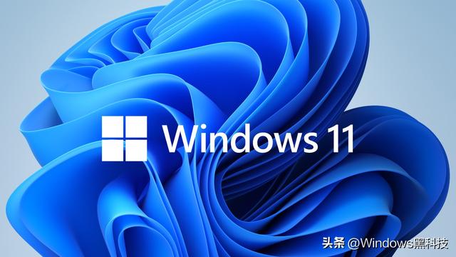 win11应用商店更新怎么设置（win10应用商店软件推荐） 第11张