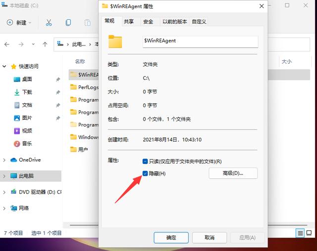Win11怎么显示隐藏的文件（文件被隐藏怎么显示） 第7张