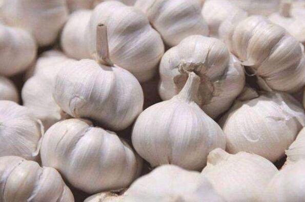 十大提高免疫力的食物排行榜：大蒜第二，酸奶排第一位 第3张
