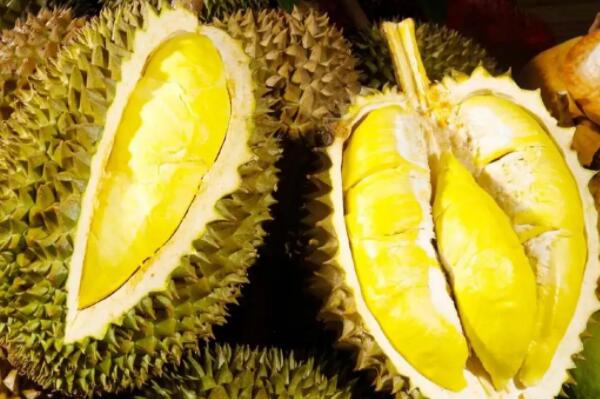 怀孕1一3月禁吃的十大水果 头三月孕妇禁吃的水果有哪些 第11张