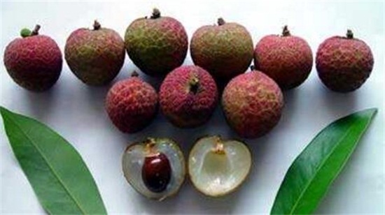 荔枝的品种有哪些品种？盘点10种常见荔枝品种图片大全 第11张