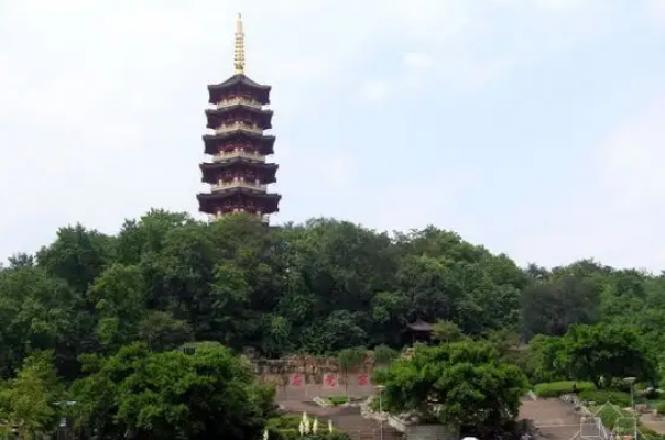 温州十大公园 温州哪个公园最好玩 第17张