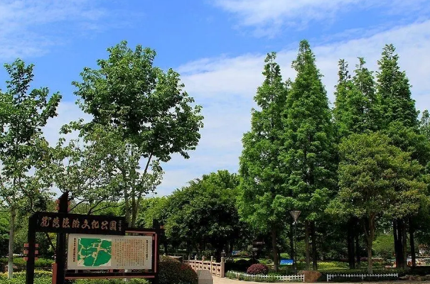 温州十大公园 温州哪个公园最好玩 第19张