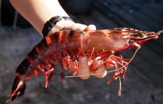 珠海有什么特色美食？珠海最有名的八大特色美食 第15张