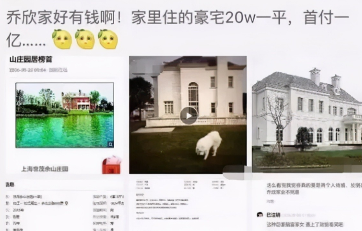 中国最有钱的十大明星（10位家里富得流油的明星） 第13张