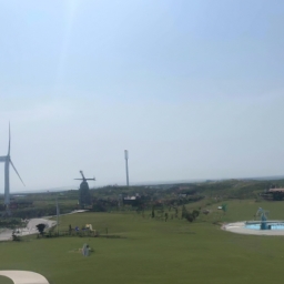 崇明岛有什么好玩的(崇明岛旅游攻略：畅享无限乐趣) 第1张