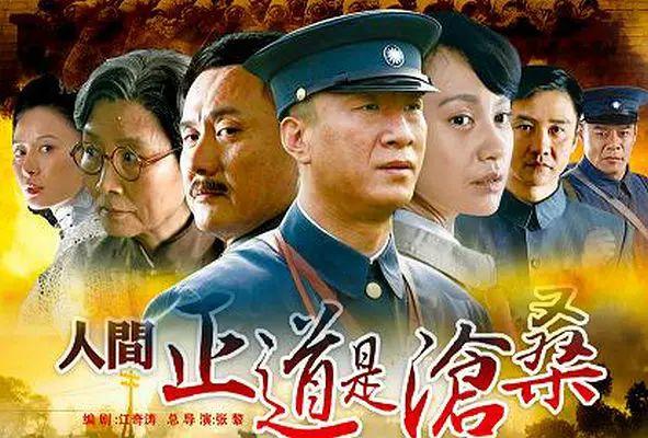 打鬼子抗日的电视剧（十部最经典的抗日剧推荐） 第15张