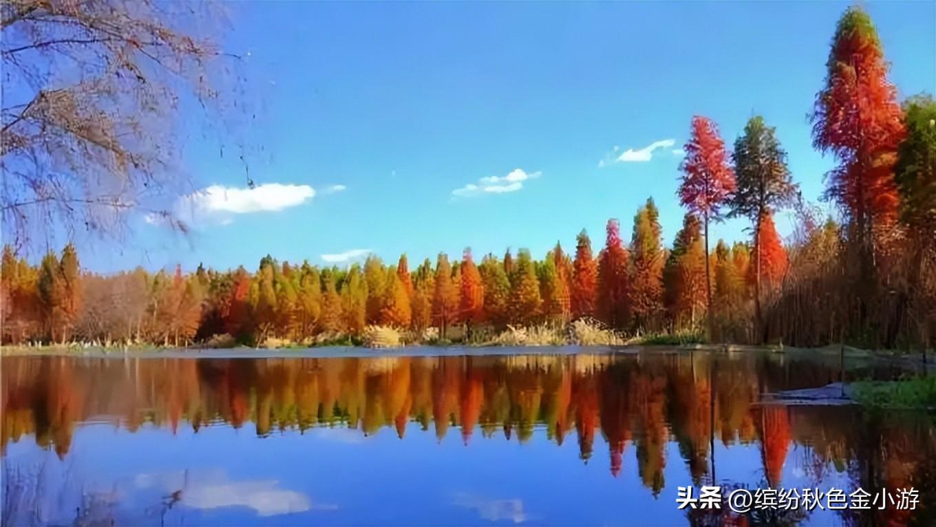 昆明景点排行榜前十名（昆明10个免费的旅游景点） 第9张