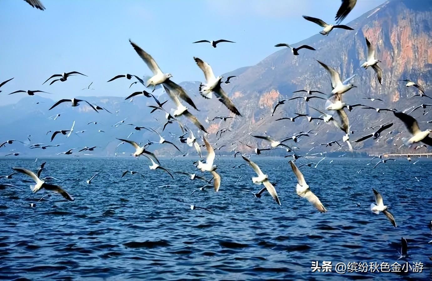 昆明景点排行榜前十名（昆明10个免费的旅游景点） 第17张