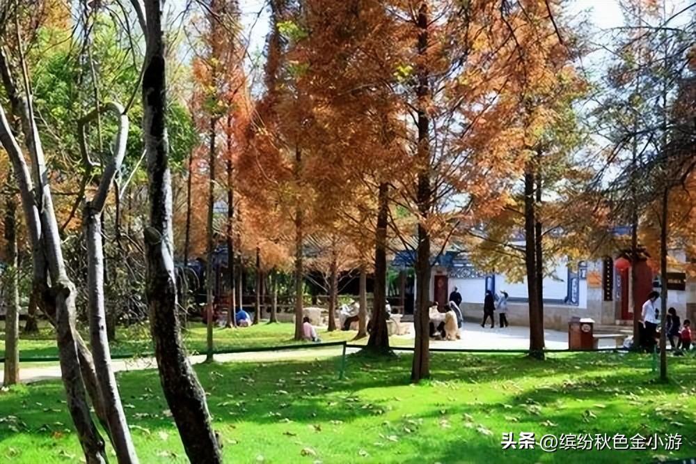 昆明景点排行榜前十名（昆明10个免费的旅游景点） 第19张