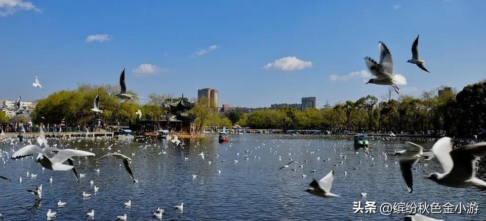 昆明景点排行榜前十名（昆明10个免费的旅游景点） 第23张