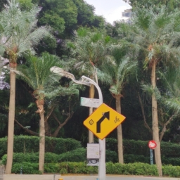 马路大是什么意思(马路大，指的是狭长的城市大街。它既是城市的交通主干道，也是万千人们日常行走的场所。 第1张