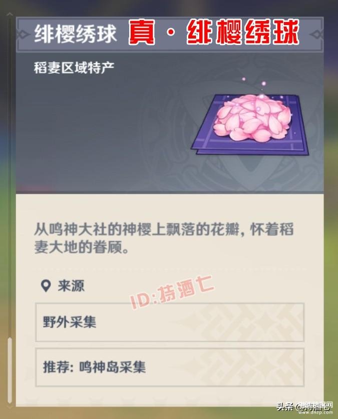 绯樱绣球怎么获取（获得绯樱绣球技巧和作用） 第11张