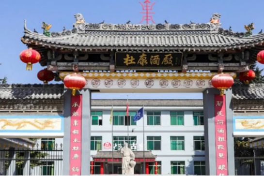 河南杜康和白水杜康哪个正宗（两种杜康有何不同） 第1张