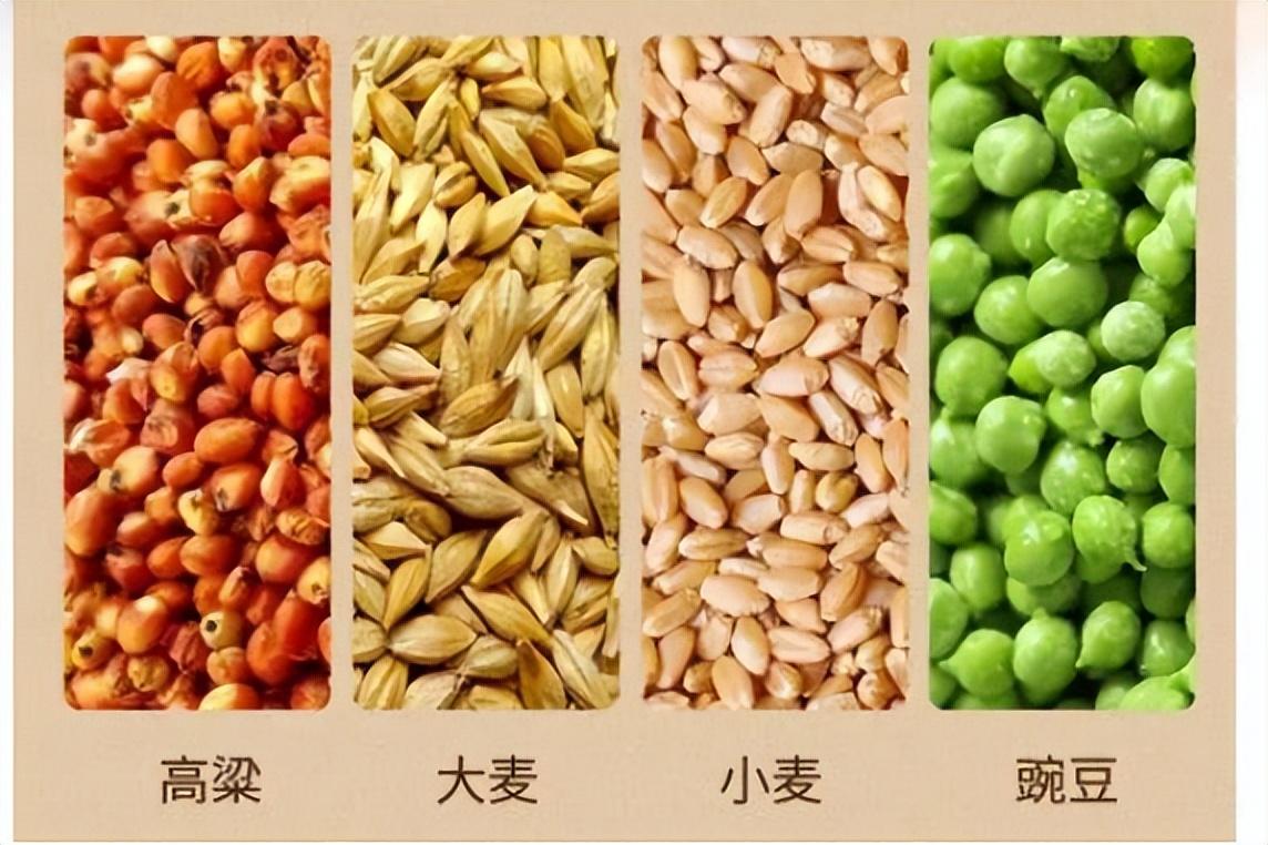 河南杜康和白水杜康哪个正宗（两种杜康有何不同） 第7张