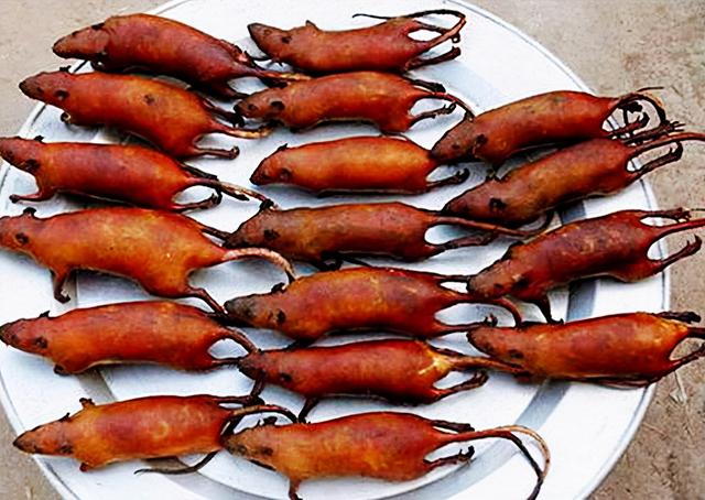 贵州6大“另类”美食：炒臭屁虫、牛粪火锅榜上有名 第9张