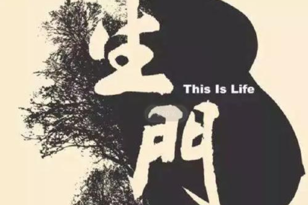 世界十大医疗题材电影 全球好看的医疗片排名前十 第3张