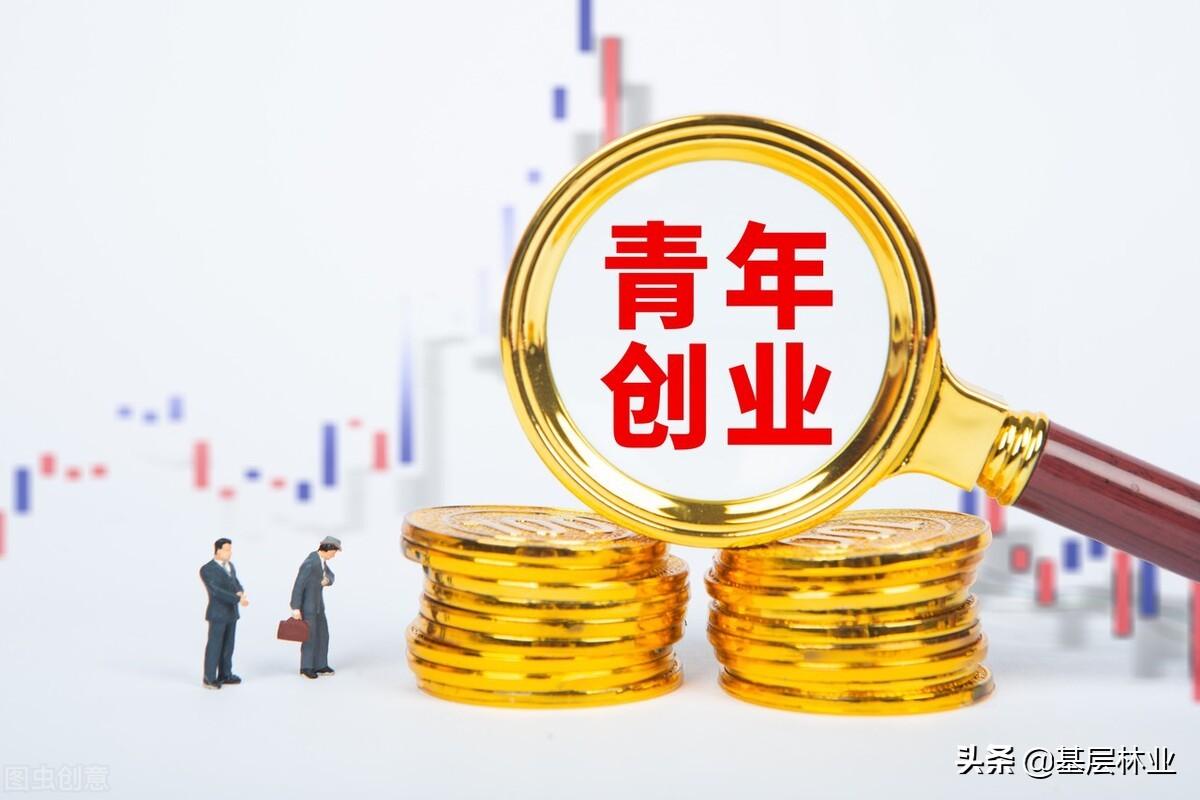种什么树最赚钱农村（最有经济价值的三种类型的树） 第11张