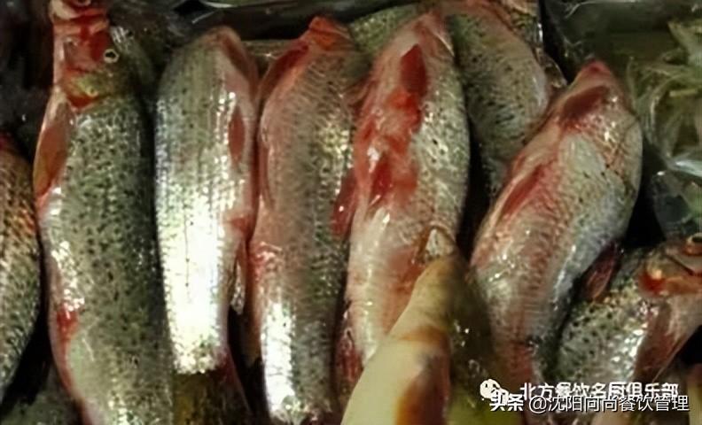 三花一岛都是什么鱼（闻名全国的三花一岛分别指的什么） 第5张