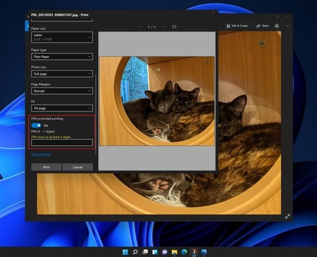 win11无法删除PIN密码怎么办（win10清除密码） 第5张