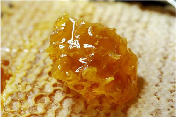 十大美容养颜食物排行：海带上榜，土蜂蜜排第一 第1张