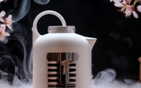 樱花牌燃气热水器(樱花牌燃气热水器——保障您舒适生活的好帮手)