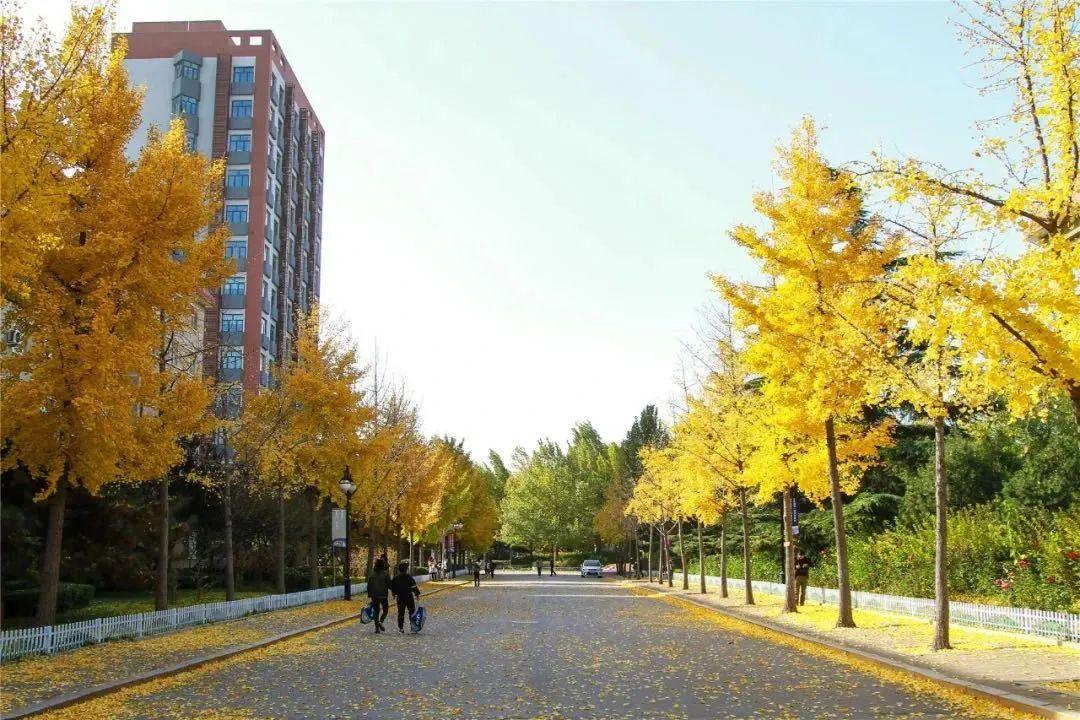 全国十大政法大学排名 中国最强10所政法大学 第1张