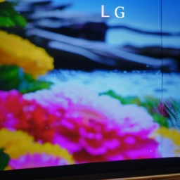 lg oled电视(LG OLED电视：高新科技与家庭娱乐的完美融合) 第1张