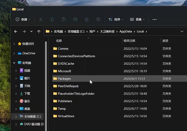 win11怎么换壁纸（win11怎么把下载的图片设为壁纸） 第35张
