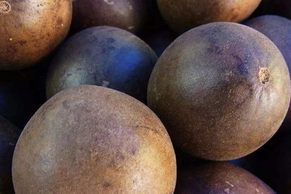 什么食物化痰止咳最有效？能化痰止咳的10种食物 第11张