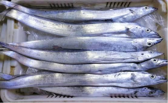 高嘌呤的食物排行榜：带鱼、猪肝位列前两名 第1张