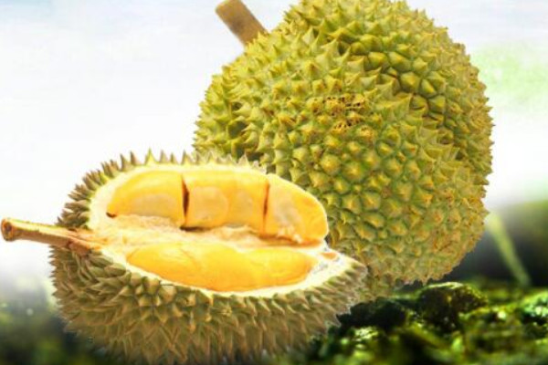 吃榴莲的禁忌有哪些？盘点吃榴莲的7大禁忌 第11张