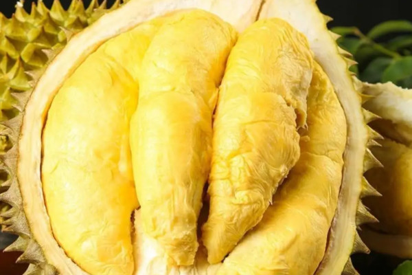 吃榴莲的禁忌有哪些？盘点吃榴莲的7大禁忌 第13张