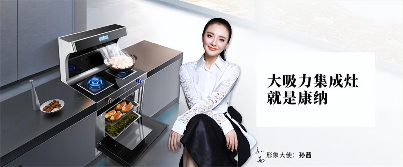 国产十大油烟机品牌（盘点2022年厨电十大品牌） 第11张
