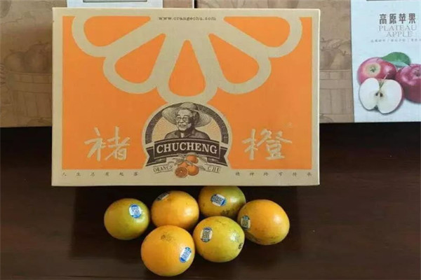 水果品牌排行榜前十名：佳农居第一，都乐第二名 第11张