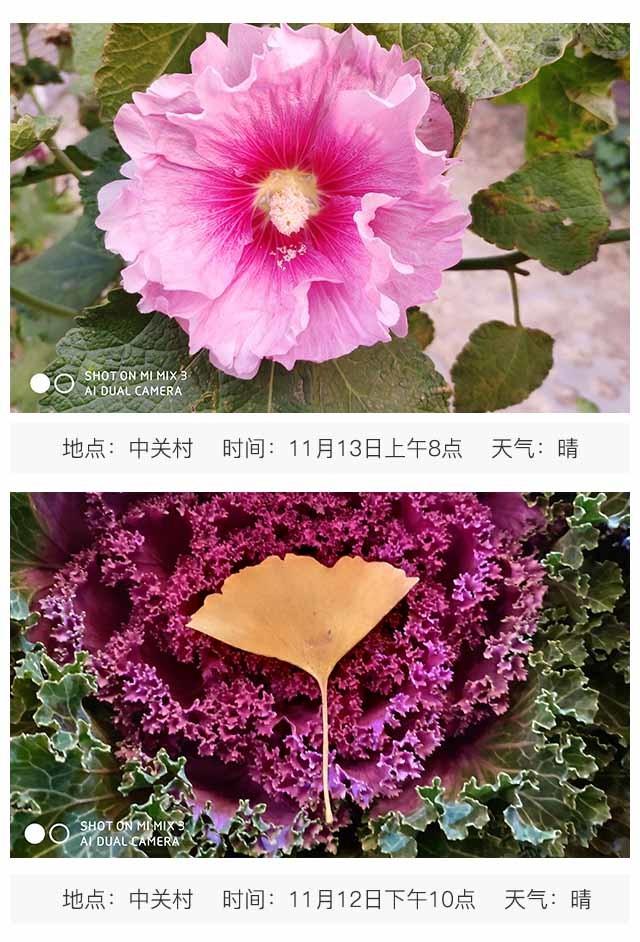 小米手机3怎么样（小米MIX 3评测） 第23张