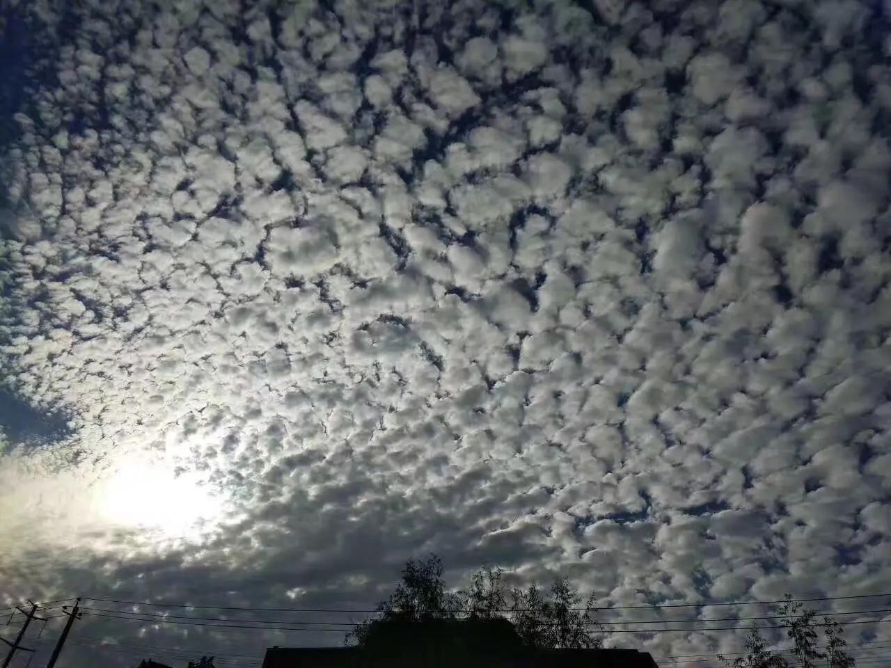最恐怖的地震云（地震云为何专家说是伪科学） 第7张
