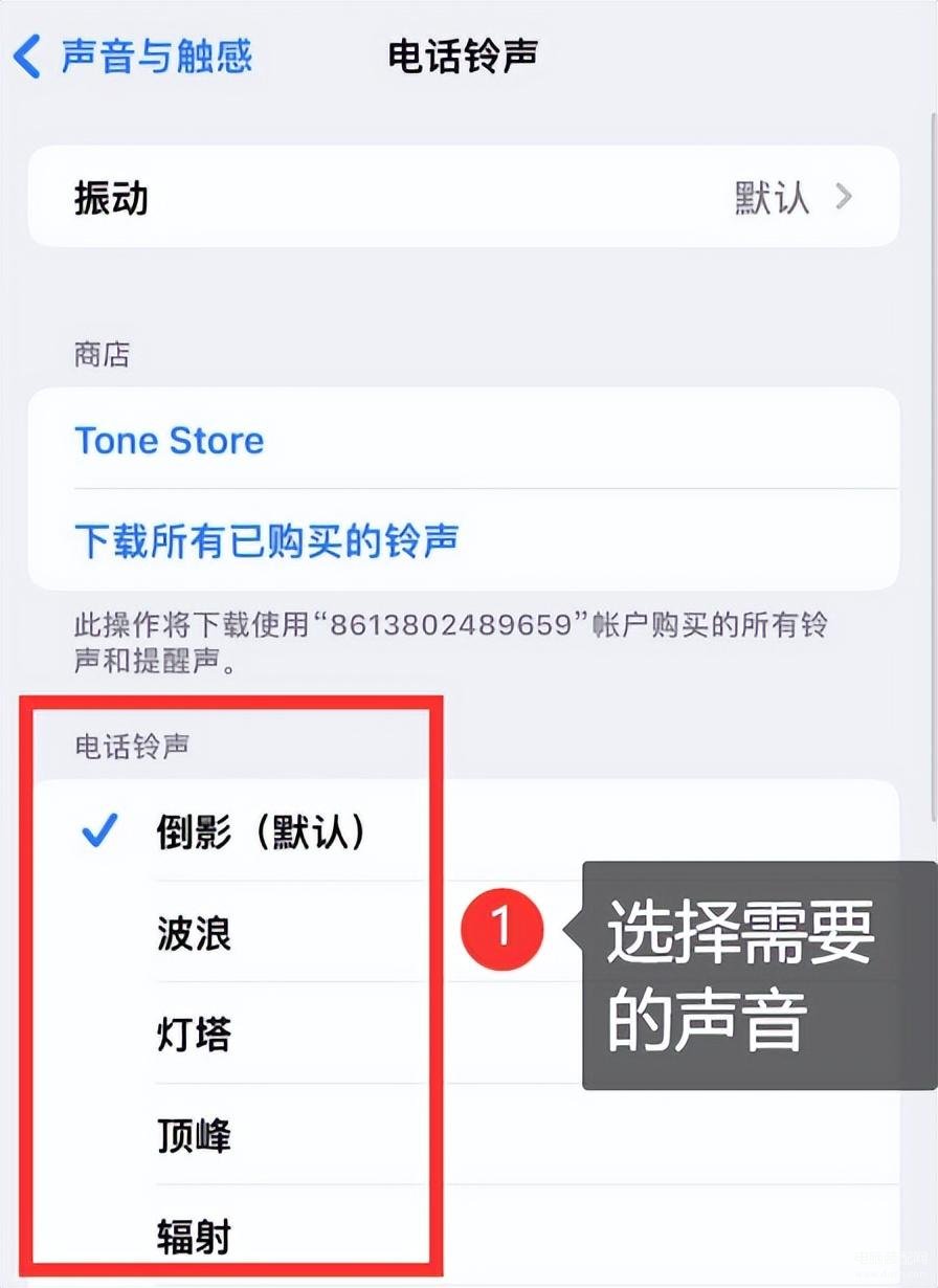 iphone怎么设置手机铃声（苹果手机设置来电铃声的四个步骤） 第9张