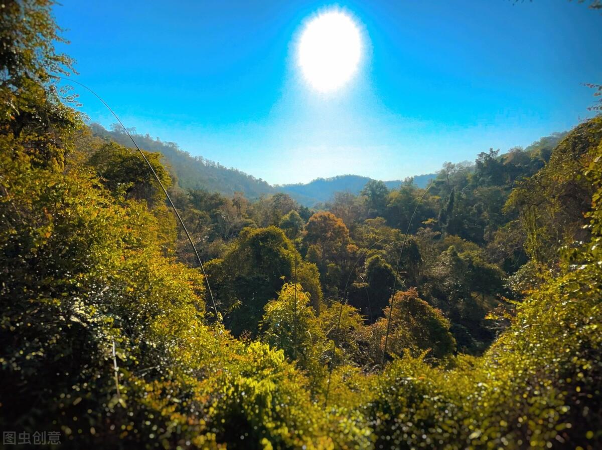 云南西双版纳旅游攻略必去景点推荐 西双版纳15个好玩的地方景点 第5张