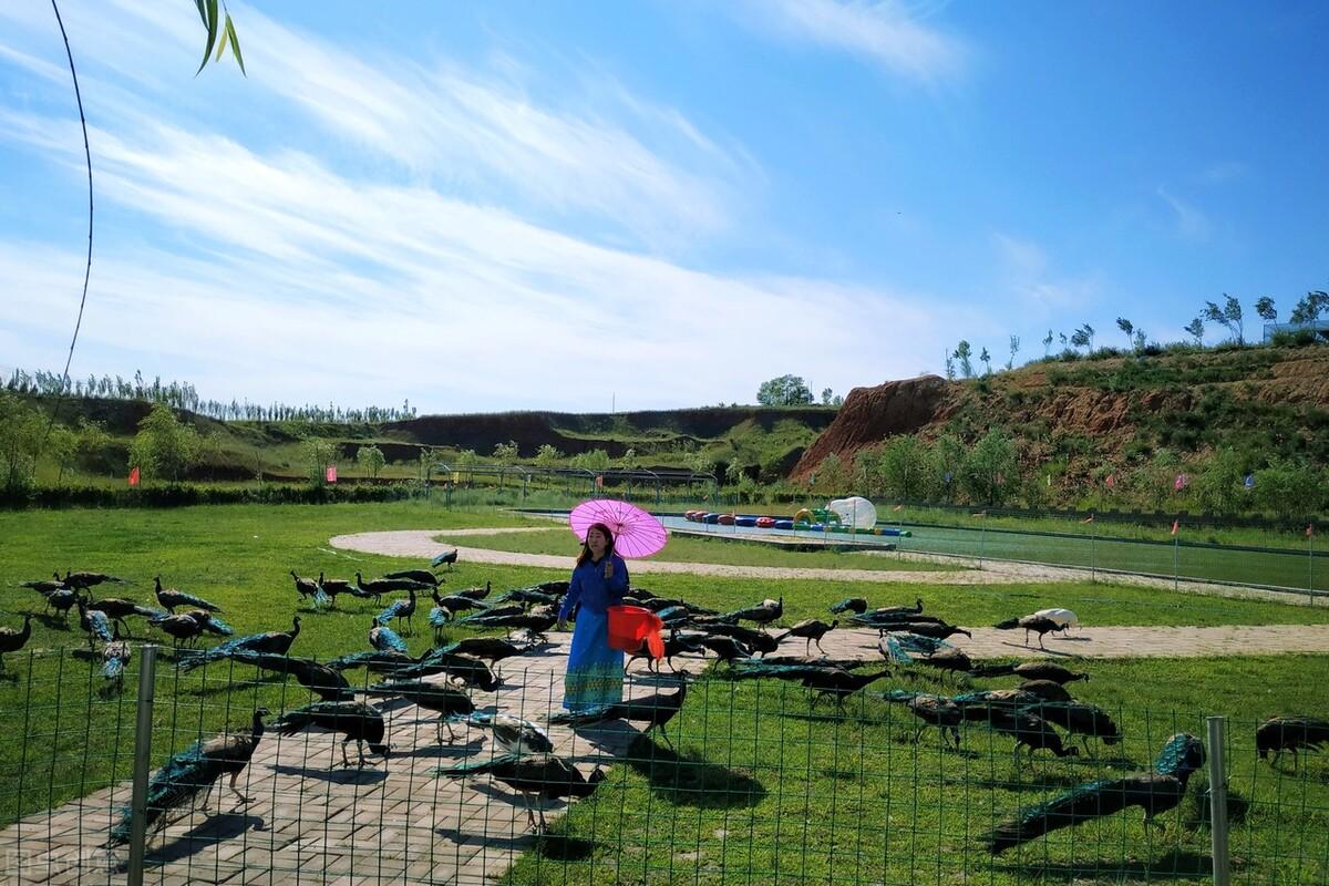 云南西双版纳旅游攻略必去景点推荐 西双版纳15个好玩的地方景点 第27张