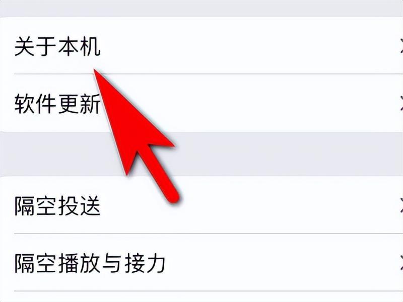 iphone官网查序列号步骤（通过序列号查询iPhone手机真伪详细方法） 第7张