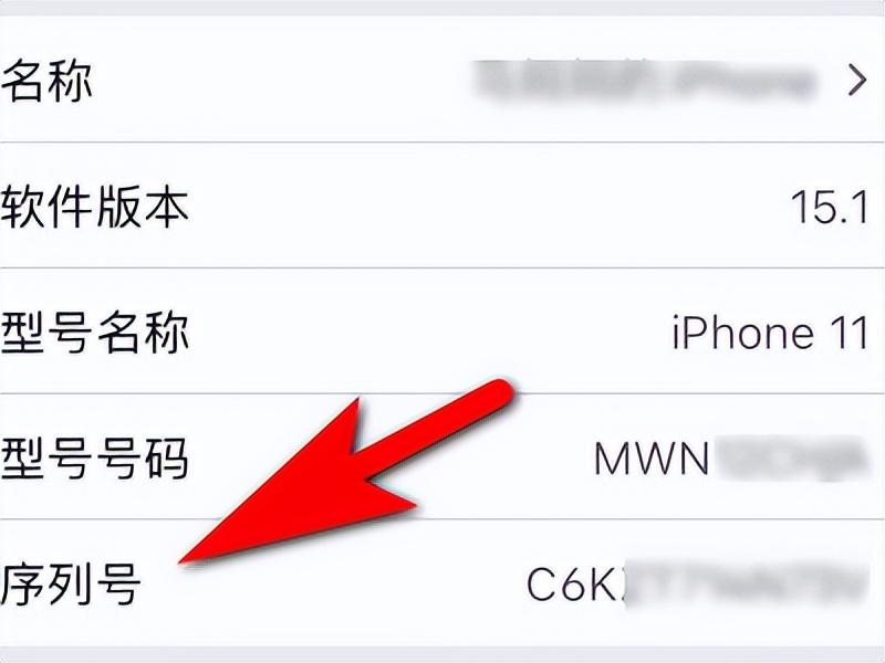 iphone官网查序列号步骤（通过序列号查询iPhone手机真伪详细方法） 第9张